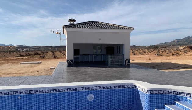 New Build - Villas - Pinoso - Camino Del Prado
