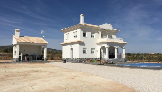 New Build - Villas - Pinoso - Camino Del Prado