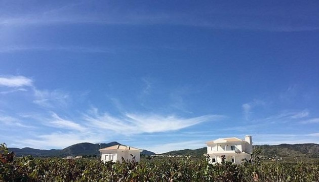 New Build - Villas - Pinoso - Camino Del Prado