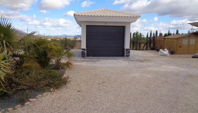 New Build - Villas - Pinoso - Camino Del Prado