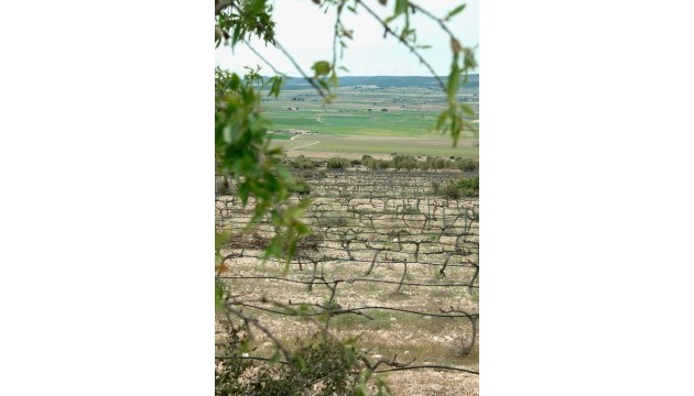 New Build - Villas - Yecla