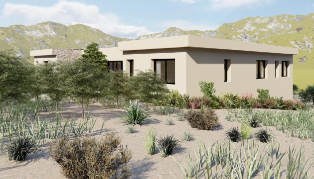 Nouvelle construction - Villa's
 - Yecla