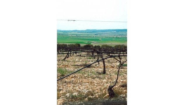 Nouvelle construction - Villa's
 - Yecla