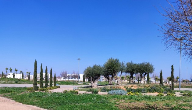 New Build - Wohnung - Torre Pacheco - Centro