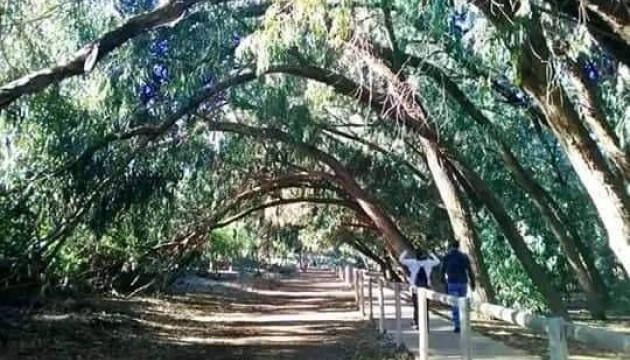 New Build - Wohnung - Torrevieja - Altos del Sol