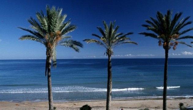 New Build - Apartment - Pilar de la Horadada - Parque Ramon eugenio Escudero