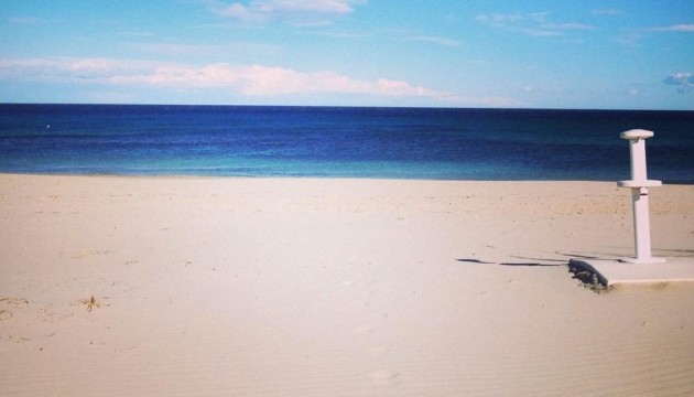 New Build - Apartment - Pilar de la Horadada - Parque Ramon eugenio Escudero