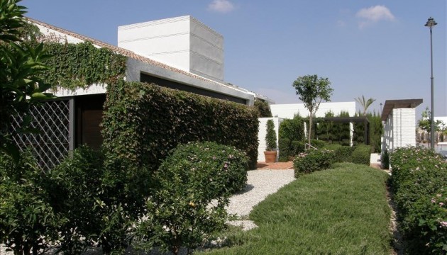 Nouvelle construction - Villa's
 - Sucina - Peraleja Golf