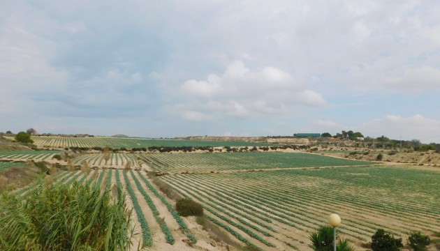 Venta - Villas
 - San Miguel de Salinas - San Miguel Salinas