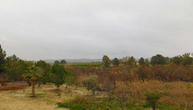 Venta - Apartamento - Torremendo