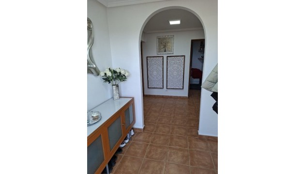 Sale - Villas - Catral