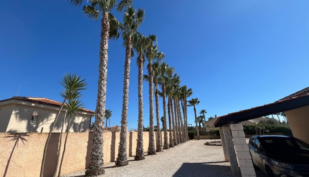 Sale - Villas - Catral