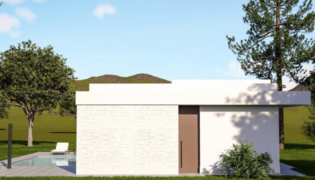 Nouvelle construction - Villa's
 - Pinoso - Lel