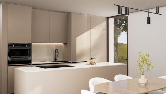 Nouvelle construction - Villa's
 - Pinoso - Lel