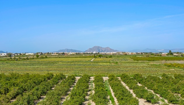 Venta - Apartamento - Daya Nueva - Costa Blanca South