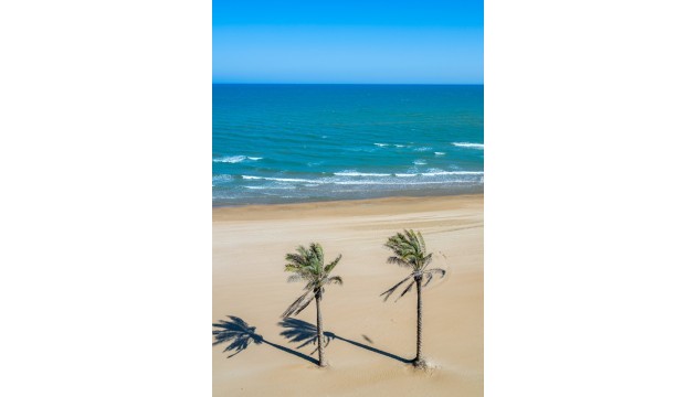 Revente - Appartement - Guardamar