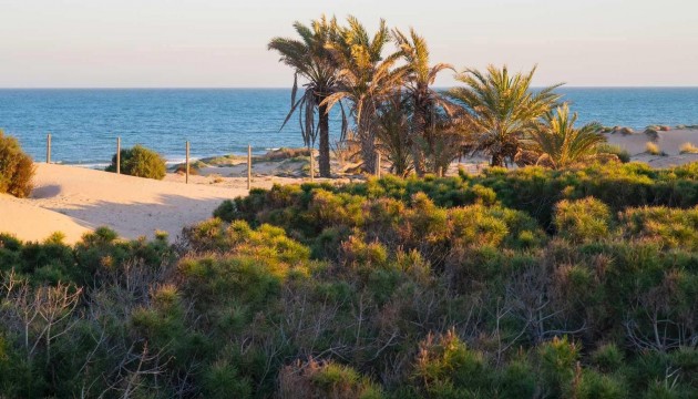 New Build - Apartment - Guardamar - Avda del Puerto