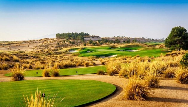 Nouvelle construction - Villas
 - Condada de Alhama - Condado De Alhama