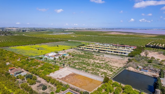 Sale - Villas - Los Montesinos