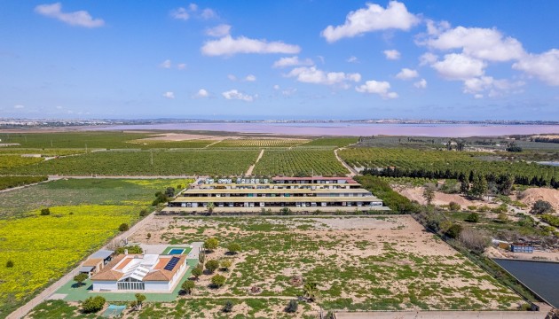 Sale - Villas - Los Montesinos