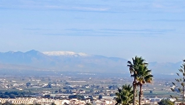 Revente - Villa's
 - Algorfa - Lomas de Juliana