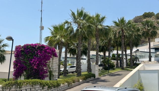 Sale - Villas - San Miguel de Salinas - San Miguel Salinas