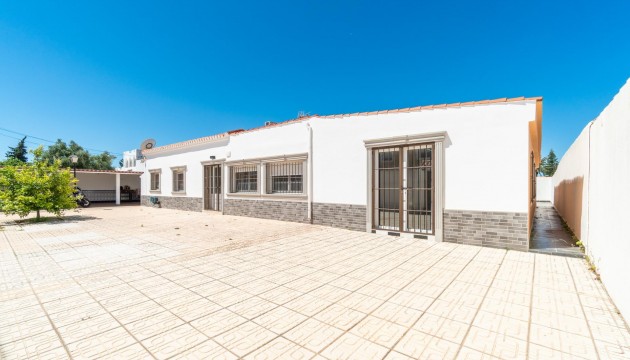 Sale - Villas - Torrevieja - Torreta florida