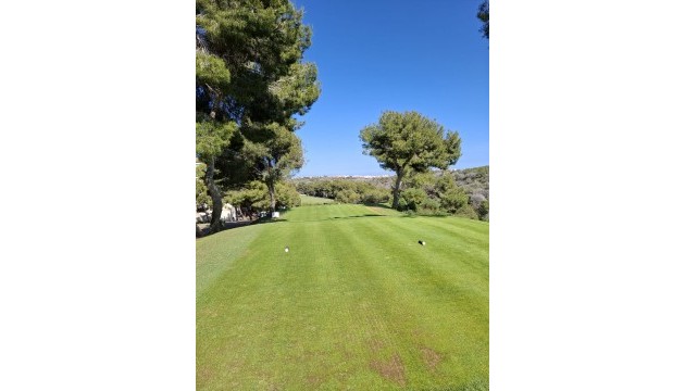 Sale - Apartment - Las Ramblas Golf - Orihuela Costa