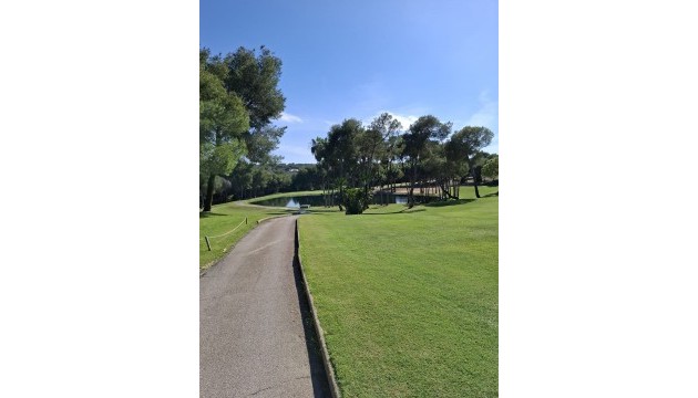 Sale - Apartment - Las Ramblas Golf - Orihuela Costa