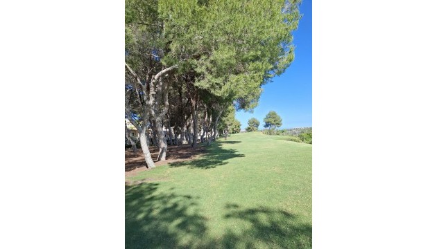 Sale - Apartment - Las Ramblas Golf - Orihuela Costa