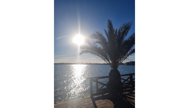 Revente - Appartement - Torre Pacheco - Torrepacheco