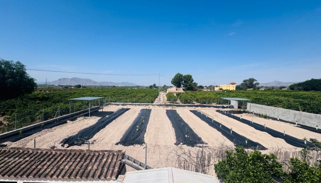Sale - Villas - Albatera