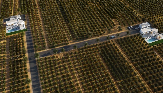 Nouvelle construction - Villas
 - Benejúzar - alta