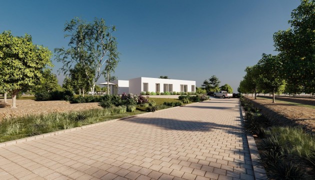 Nouvelle construction - Villas
 - Benejúzar - alta