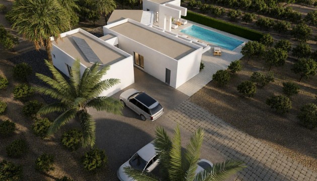Nouvelle construction - Villas
 - Benejúzar - alta