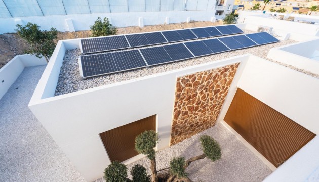 Nouvelle construction - Villas
 - Benejúzar - alta