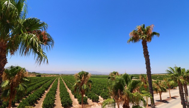 Sale - Semi-Detached Villa - Algorfa - La Finca Golf