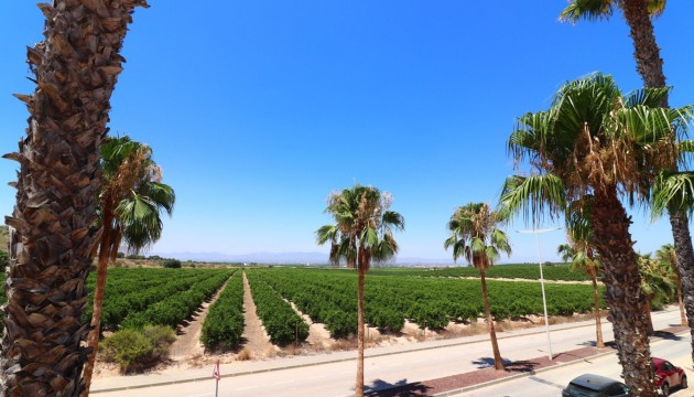 Sale - Semi-Detached Villa - Algorfa - La Finca Golf