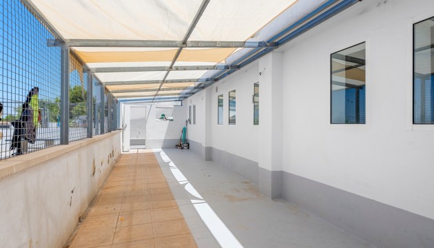 Venta -  - Los Montesinos - La Herrada