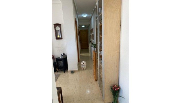 Resale - Wohnung - Algorfa