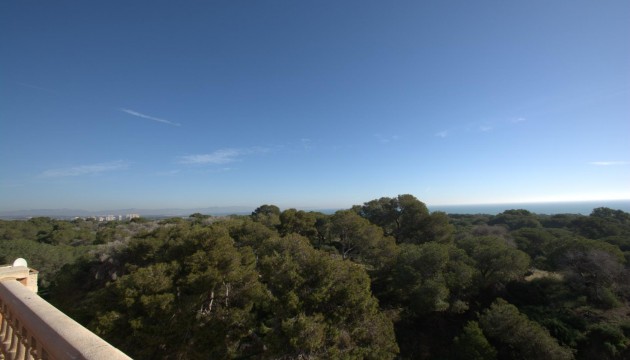 New Build - Apartment - Guardamar - Pueblo