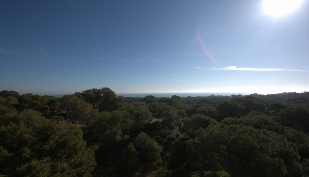 Nouvelle construction - Appartement - Guardamar - Pueblo