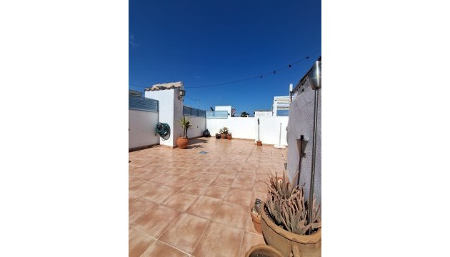 Resale - Wohnung - Villamartin - Villamartín