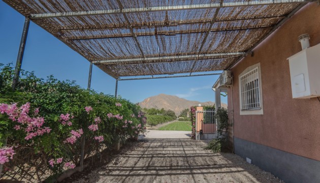 Venta - Villas
 - Orihuela - San Bartolome