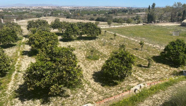 Revente - Villa's
 - Guardamar - Valencian Community