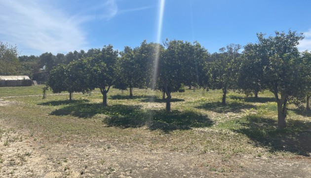 Revente - Villa's
 - Guardamar - Valencian Community