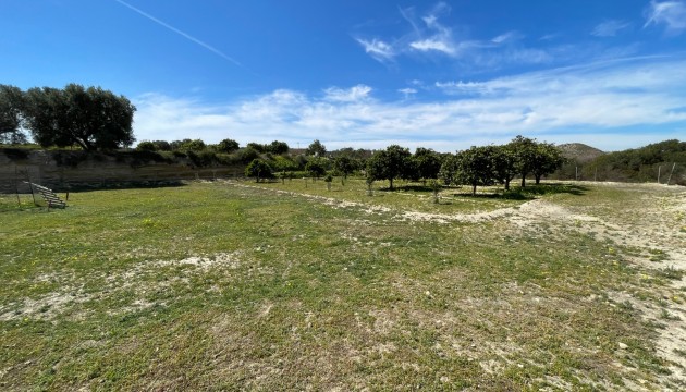 Revente - Villa's
 - Guardamar - Valencian Community