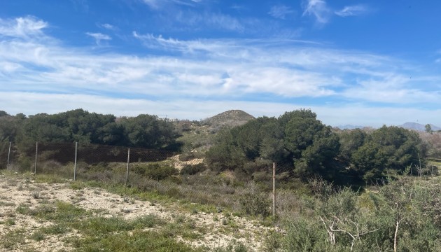 Revente - Villa's
 - Guardamar - Valencian Community