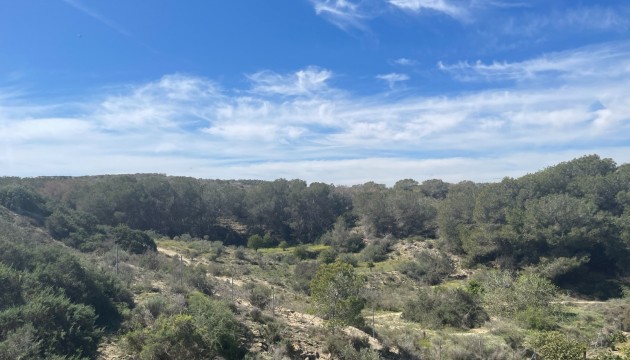 Revente - Villa's
 - Guardamar - Valencian Community