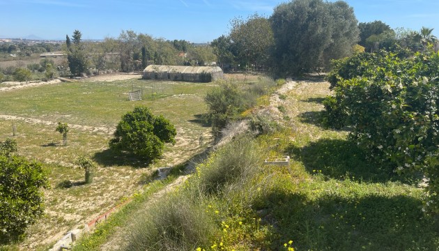 Revente - Villa's
 - Guardamar - Valencian Community